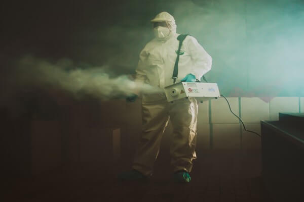 PEST CONTROL DUNSTABLE, Bedfordshire. Pests Our Team Eliminate - Cleaning.